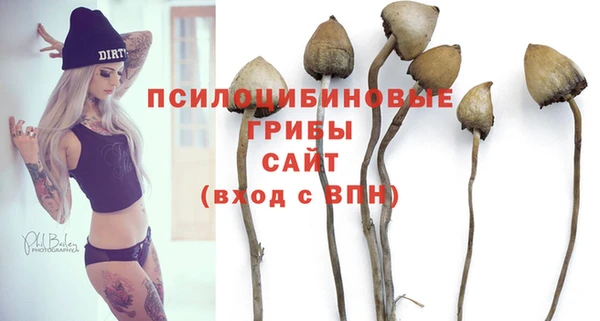 гидра Белоозёрский