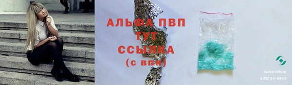 ГАЛЛЮЦИНОГЕННЫЕ ГРИБЫ Беломорск