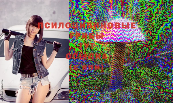 mdpv Белокуриха