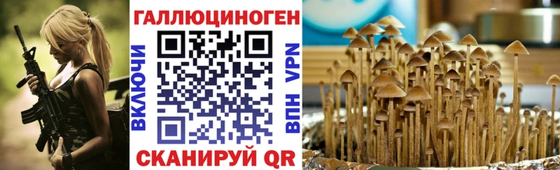 где купить наркотик  Дно  Псилоцибиновые грибы Cubensis 
