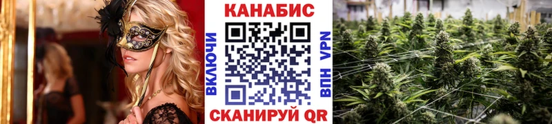 Каннабис AK-47 Дно